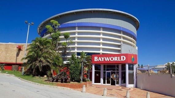 Gallery 21 432 Bayworld 70759