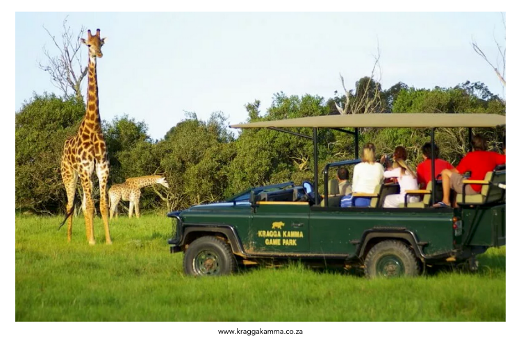 Kragga Karma Game Reserve