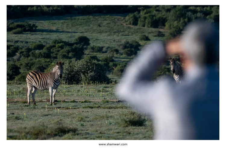 Shamwari Private Game Reserve