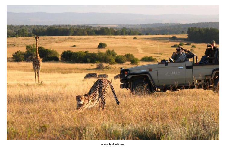 Lalibela Game Reserve