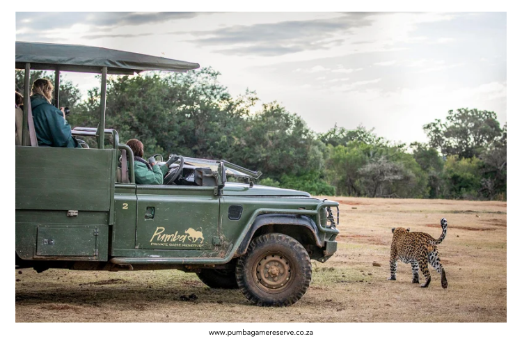 Pumba Private Game Reserve