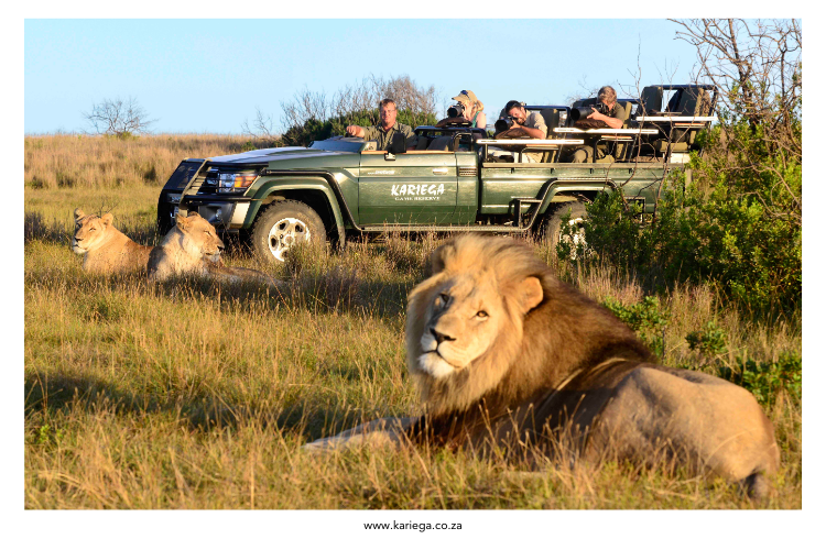 Kariega Game Reserve