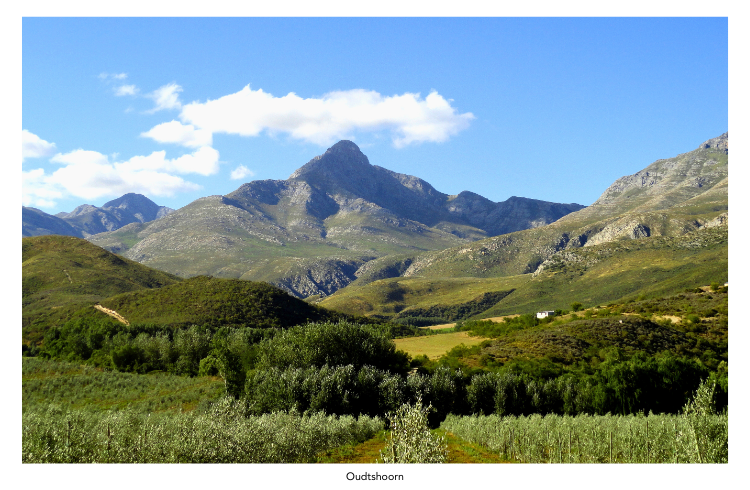 Oudtshoorn