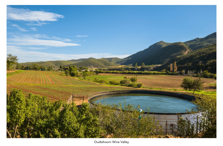 Oudtshoorn Wine Valley