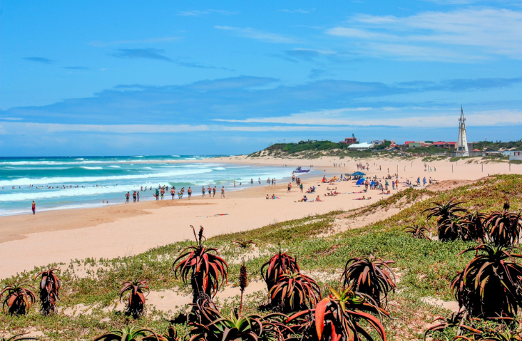 Pe Knysna (Jbay) (2)