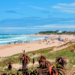 Pe   Knysna (Jbay) (2)